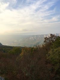 Scenic view of landscape against sky