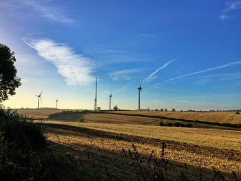 Scenic view of field against blue sky