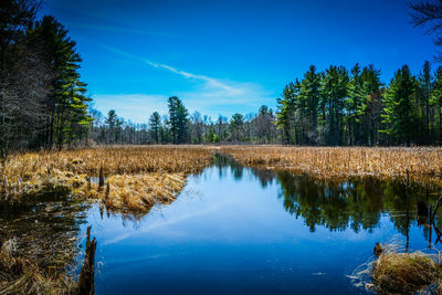 Scenic view of calm lake against blue sky