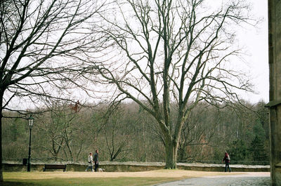 People walking in park