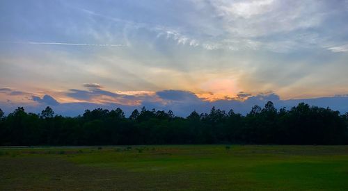 Scenic view of field against sky during sunset