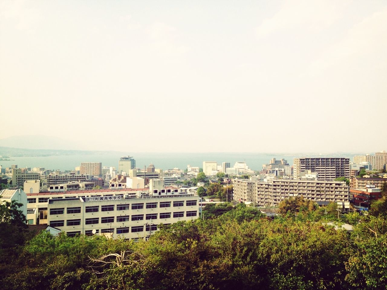 building exterior, architecture, built structure, city, cityscape, clear sky, crowded, high angle view, residential district, copy space, residential building, residential structure, tree, sky, sea, city life, skyscraper, day, outdoors, no people