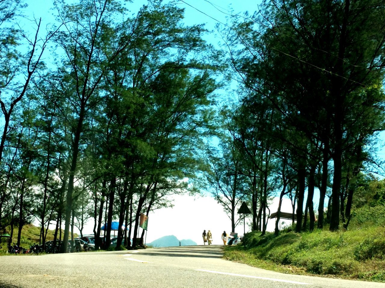 tree, the way forward, transportation, road, growth, branch, street, sky, sunlight, shadow, clear sky, diminishing perspective, nature, day, blue, tranquility, tree trunk, outdoors, vanishing point, treelined