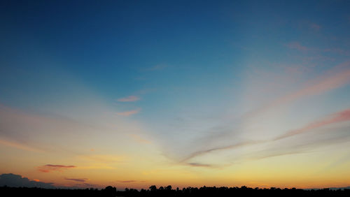 Low angle view of silhouette trees against sky during sunset