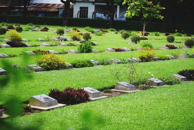 View of formal garden