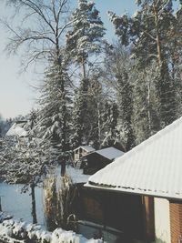 Snow covered trees against sky