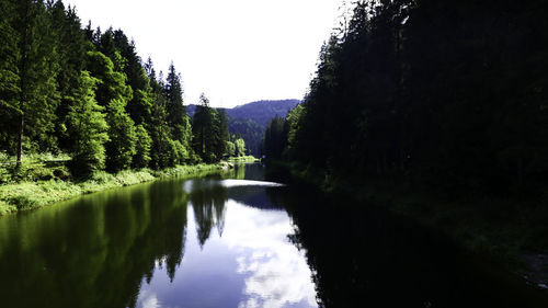 Scenic view of lake in forest against clear sky