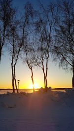 Silhouette bare trees on snow covered land during sunset