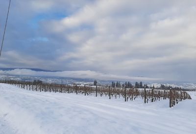 Scenic view of snowcapped field against sky
