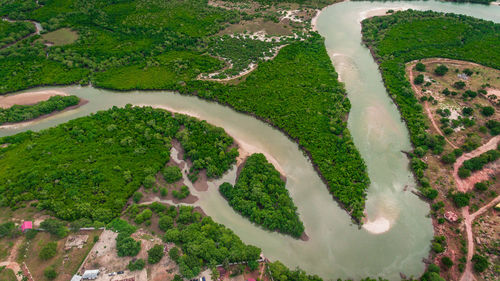 Aerial view of mangroves in dar es salaam