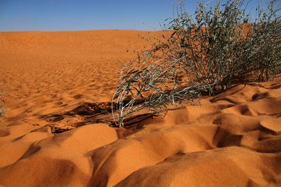 View of sand dunes in desert against sky