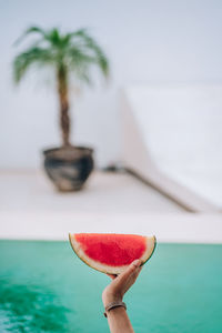 Watermelon held up outside during a hot and sunny day.