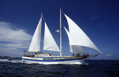 Sailboat sailing in sea against sky