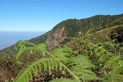 Scenic view of sea and mountains against clear blue sky