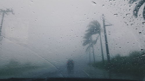 Silhouette trees against sky seen through car windshield during rain