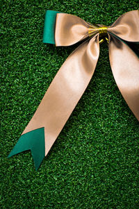 High angle view of bow ribbon on grass
