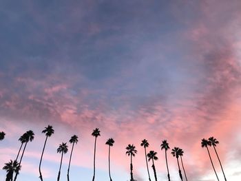 Low angle view of silhouette coconut palm trees against dramatic sky