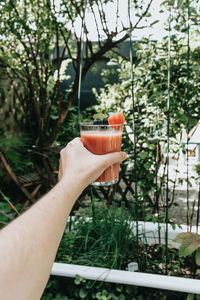 Close-up of hand holding drink