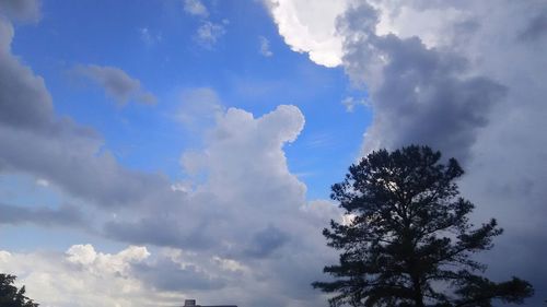 Low angle view of tree against cloudy sky