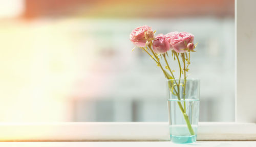 Close-up of pink flower vase on table