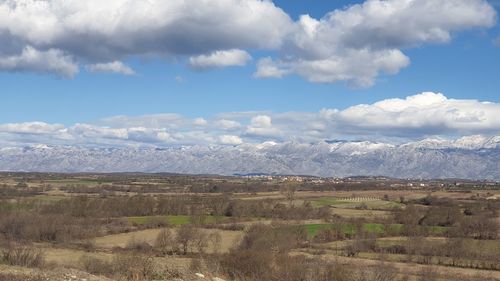 Scenic view of field against sky