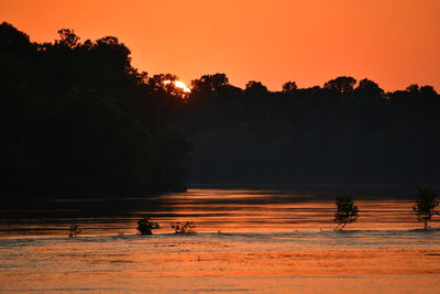 Silhouette trees by lake against orange sky