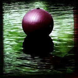 Reflection of trees in water