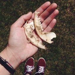 Close-up of cropped hand