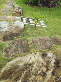 High angle view of water on rock