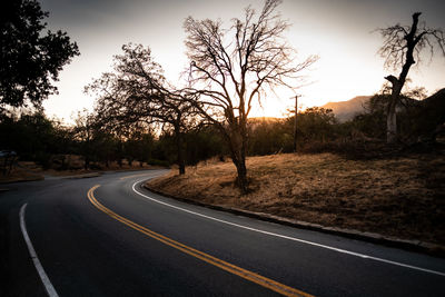 Empty road along trees and plants