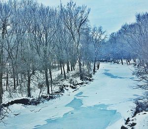 Bare trees on snow covered landscape