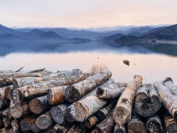 Stack of logs in lake against mountain range