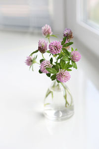 Close-up of purple flowers in glass vase