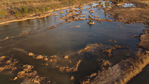 High angle view of plants floating on lake