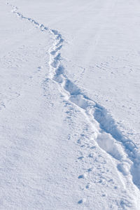 Tracks in the snow