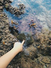 Cropped image of hand touching starfish in sea