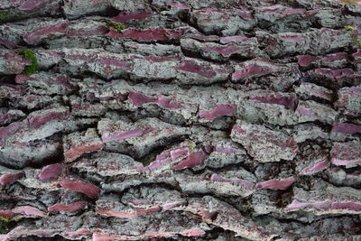 Full frame shot of pink stone wall