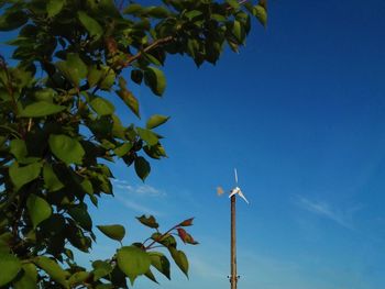 Low angle view of green plant against blue sky