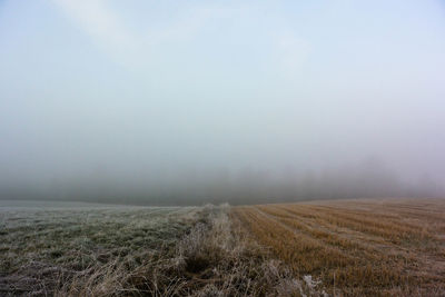 View of snow covered field in foggy weather