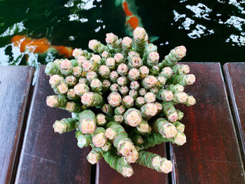 High angle view of flower pot on table