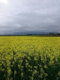 Scenic view of field against cloudy sky