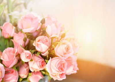 Close-up of pink roses