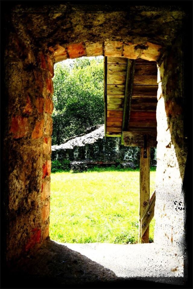 grass, built structure, architecture, abandoned, old ruin, old, damaged, house, indoors, field, obsolete, green color, run-down, window, ruined, plant, building exterior, transfer print, stone wall, deterioration