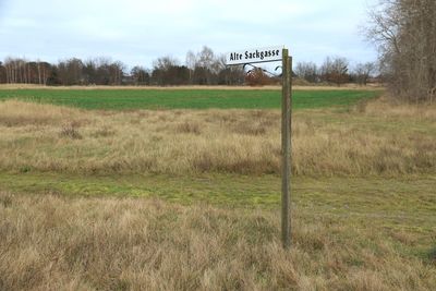 View of grassy field against sky