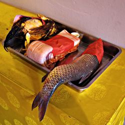 Close-up of food on table