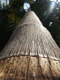 Close up of wood