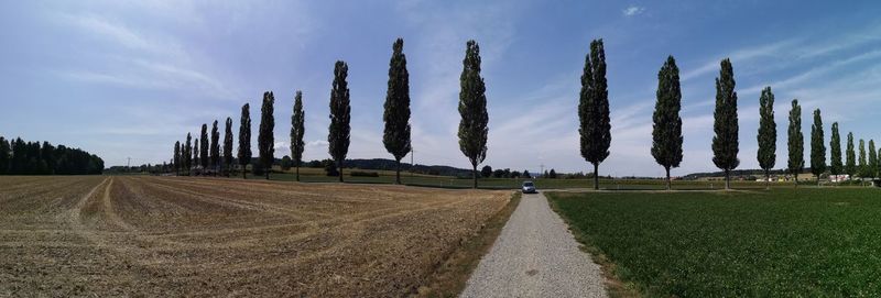 Panoramic shot of agricultural field against sky