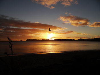 Silhouette bird flying over sea against sky during sunset