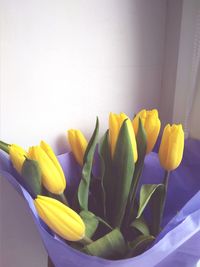 High angle view of yellow tulips against wall