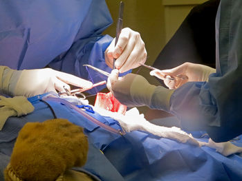 Midsection of surgeons operating patient in hospital